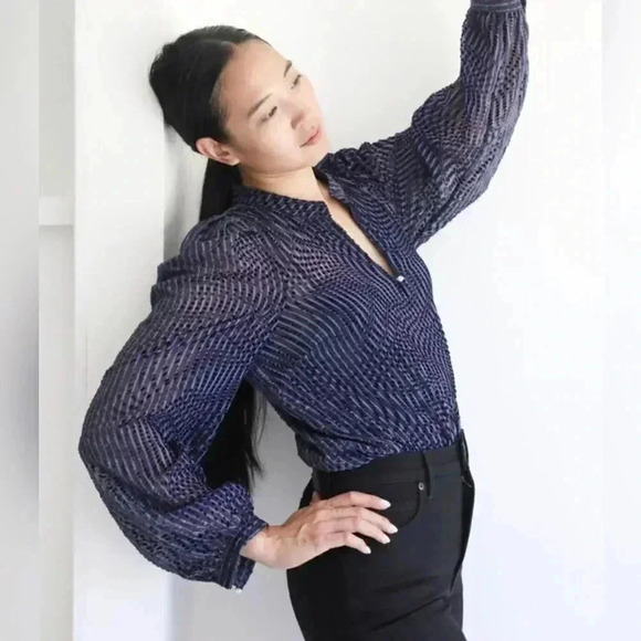 TANYA TAYLOR Rebecca Split Neck Clip Dot Blouse New With Tag - Picture 7 of 8